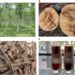 WHY YOU MUST USE AGAR WOOD