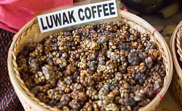 Kopi luwak Coffee