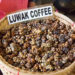 Kopi luwak Coffee