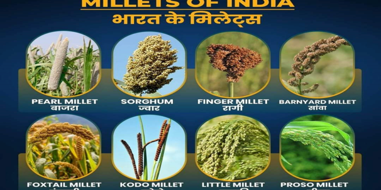Millets of India