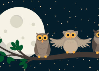 cute owls sit at branch under the moon. Vector illustration