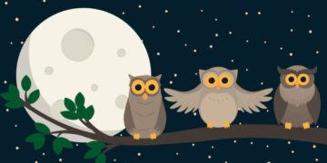 cute owls sit at branch under the moon. Vector illustration