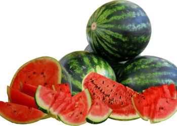 watermelon