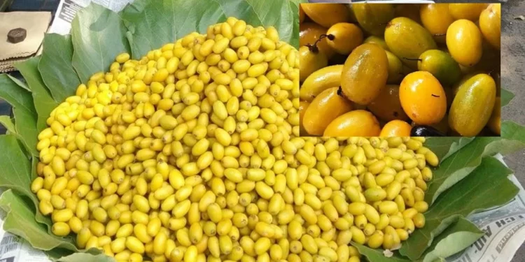 Khirni Fruit Interesting Health Statistics