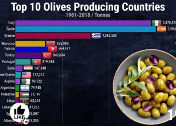 Top Olives Producting Country