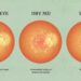 WHICH SUPPLEMENTS CAN PREVENT AGE-RELATED MACULAR DEGENERATION?